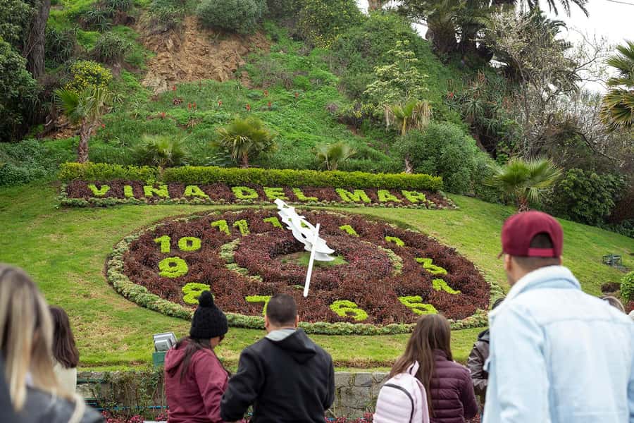 Viña del Mar and Valparaiso: guided day tour - Viña del Mar: Flower Clock, Fonck Museum (Moai), and Reñaca Beach
