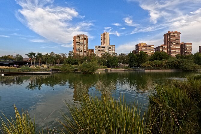 Visit to Baháʼí Temple with Panoramic Views of Santiago - The guide factor: what language support changes