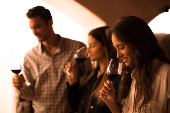 Visita Guiada Premium Centro del Vino Concha y Toro - Key highlights to know before you go