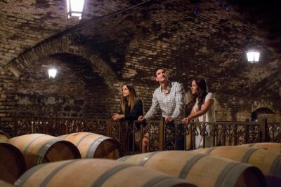 Visita Guiada Premium Centro del Vino Concha y Toro