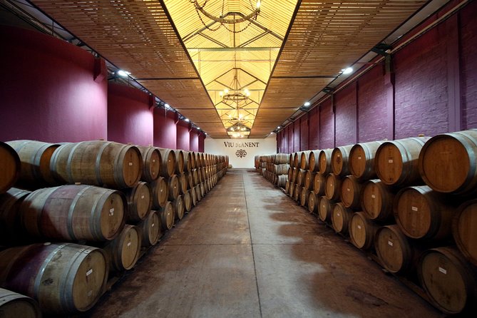 Viu Manent and Montes Winery, Colchagua Valley from semi-private - Key things to know before you go