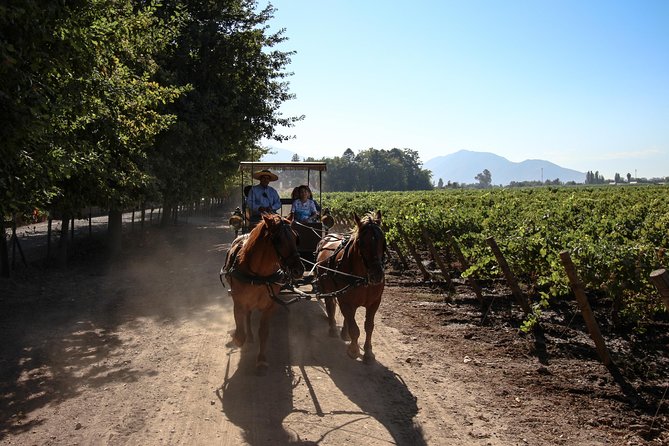 Viu Manent and Montes Winery, Colchagua Valley from semi-private - Vina Montes: a guided inside tour plus 4 premium wines