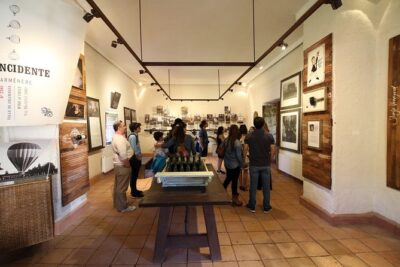 Viu Manent and Montes Winery, Colchagua Valley from semi-private