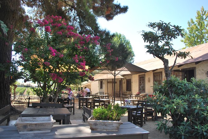 Viu Manent and Montes Winery, Colchagua Valley from semi-private - Viu Manent: guided tour and 5 wines to sharpen your palate