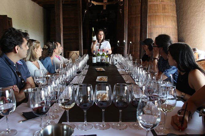 Viu Manent and Montes Winery, Colchagua Valley from semi-private - Lunch and what to expect with food coverage