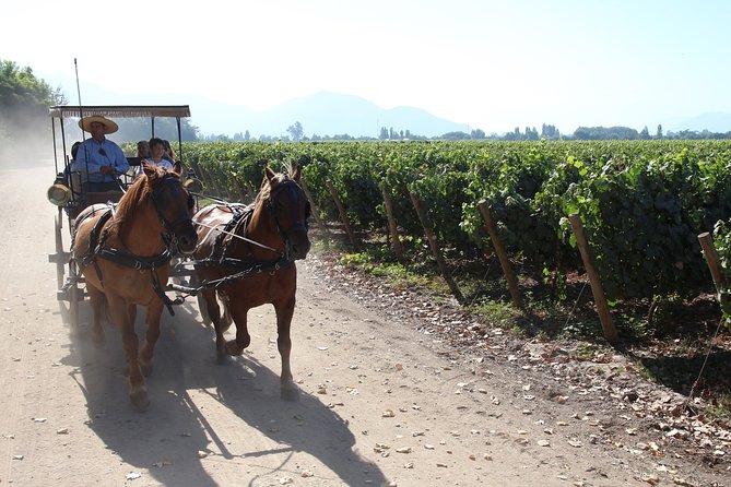 Viu Manent and Montes Winery, Colchagua Valley from semi-private - Price and value: what $280 is buying you