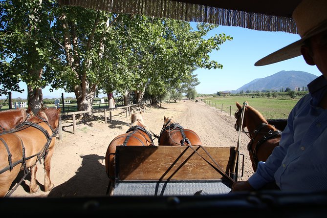 Viu Manent and Montes Winery, Colchagua Valley from semi-private - Best for couples, wine fans, and people who want a guided day