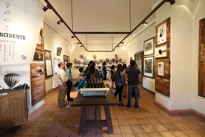 Viu Manent and Montes Winery, Colchagua Valley from semi-private - Colchagua Valley and the wine road stops, with carriage views