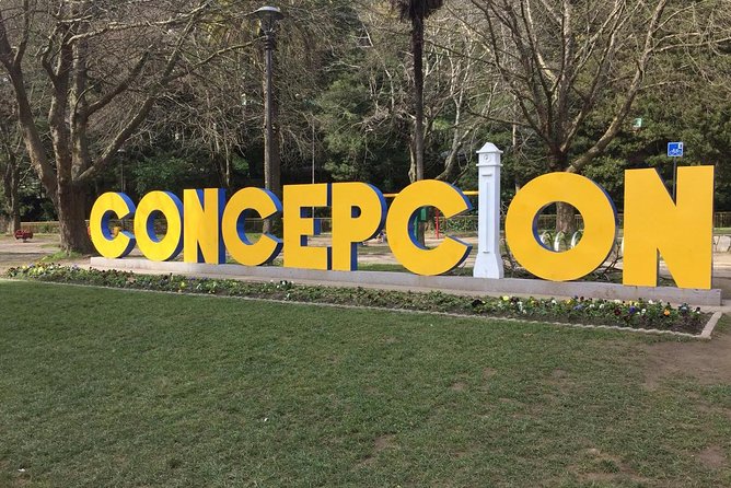 Walking Tour around Concepcion City Centre - Parque Ecuador and the History of Concepción Gallery Area