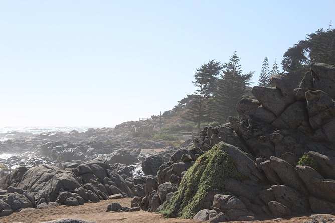 wetravelneruda’s route - Pablo Neruda’s route - Private tour - Why this Neruda route works as a 9-hour day trip
