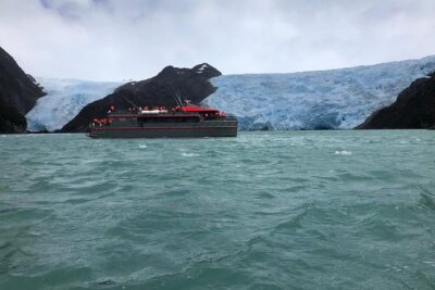 Whale and Glacier Watching from Punta Arenas Francisco Coloane Park