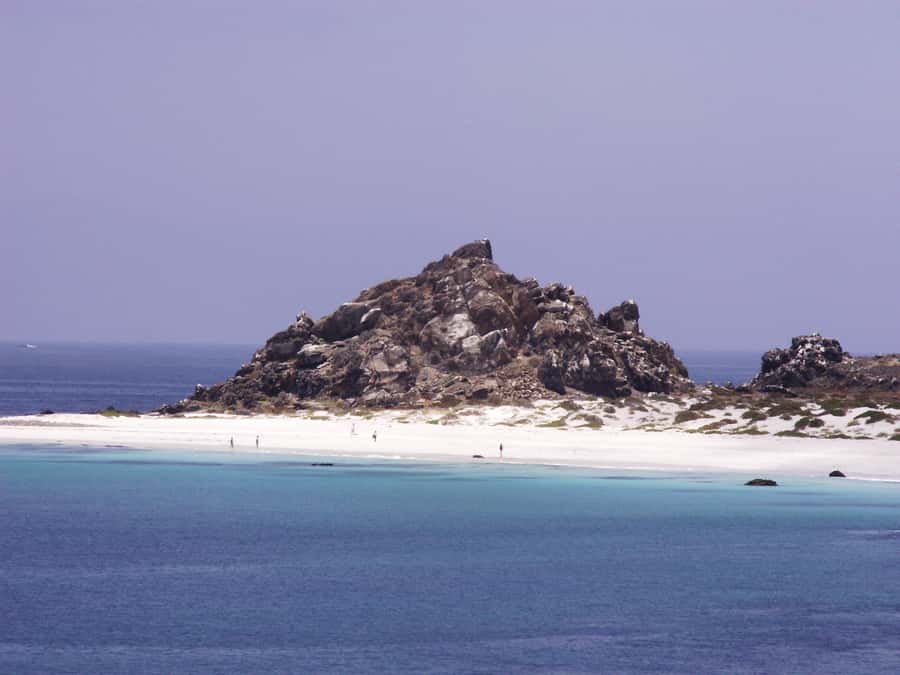 Whales & Humboldt Penguins: Chañaral or Damas island hiking - From La Serena pickup to Punta Teatinos: getting your bearings fast