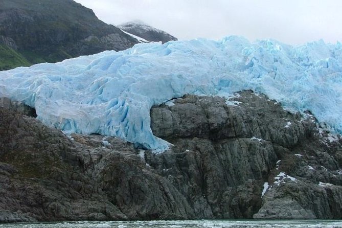 Whales, Penguins & Glaciers Navigation From Punta Arenas - Why this day feels special in Punta Arenas