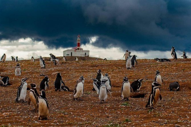 Whales, Penguins & Glaciers Navigation From Punta Arenas - The 4:00am meeting, bus ride, and the long sailing rhythm