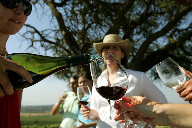 Wine Tour and Santiago City in a Small Group - Santiago streets and a winery stop in one tight 8-hour plan