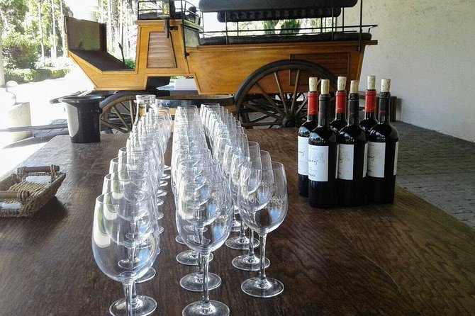 Wine Tour and Santiago City in a Small Group - Cerro Santa Lucía, viewpoints and a park that feels like a shortcut to the city