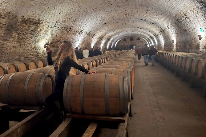 Winery Tour & Tasting + Lapis Lazuli Craft Visit + Hotel Pickup - Who this tour fits best, and who should choose something else