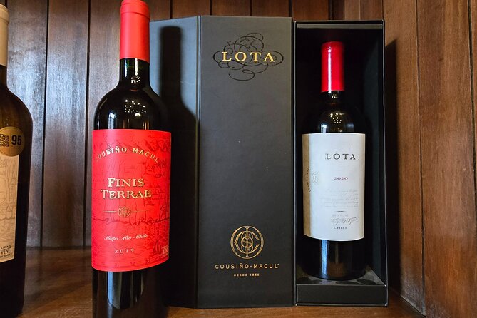 Winery Tour & Tasting + Lapis Lazuli Craft Visit + Hotel Pickup - Hotel pickup in Santiago, what the timing feels like