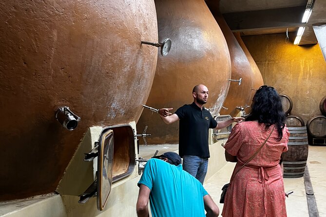 Winery & Valparaiso Private Tour - day trip from Santiago - Coffee, No Lunch, and How to Stay Comfortable During the Day