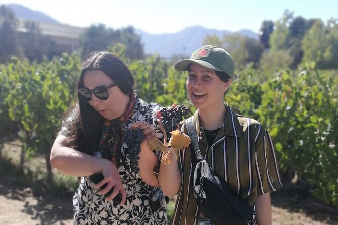 Wines-and-Valparaiso-Tour - Key highlights to know before you go