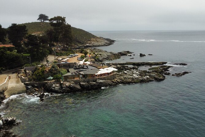 Zapallar and Papudo Tour with Penguins and Horseback Riding - Key highlights you should know before you go