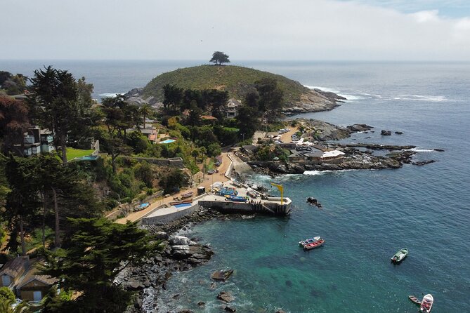 Zapallar and Papudo Tour with Penguins and Horseback Riding - Zapallar moment: coastal charm before you head into penguin territory