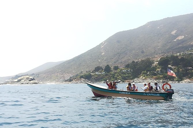 Zapallar : nature, sea and local flavours - Back to Zapallar: El Chiringuito and the seafood you actually want to eat