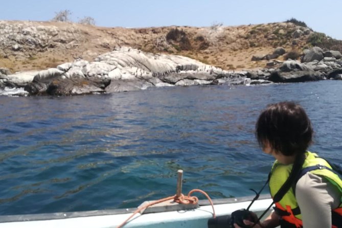 Zapallar : nature, sea and local flavours - Price and value: is $480 per person fair for this 10-hour format?