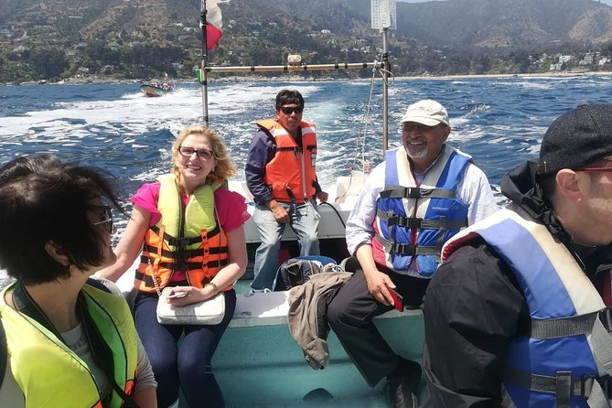 Zapallar : nature, sea and local flavours - Should you book Zapallar and Isla Cachagua?