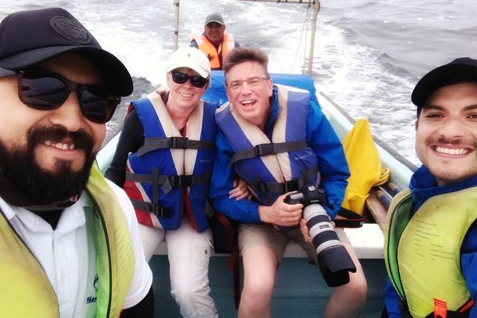Zapallar : nature, sea and local flavours - Isla Cachagua: the short boat ride to penguins and a natural sanctuary