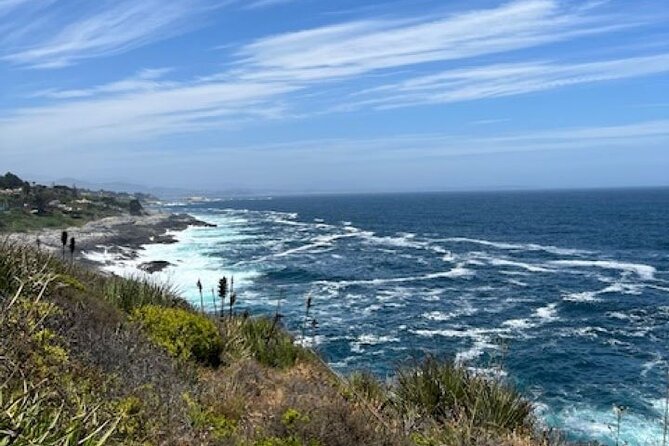 Zapallar Private Beach Day Trip - Price and value: what $350 per person buys you here