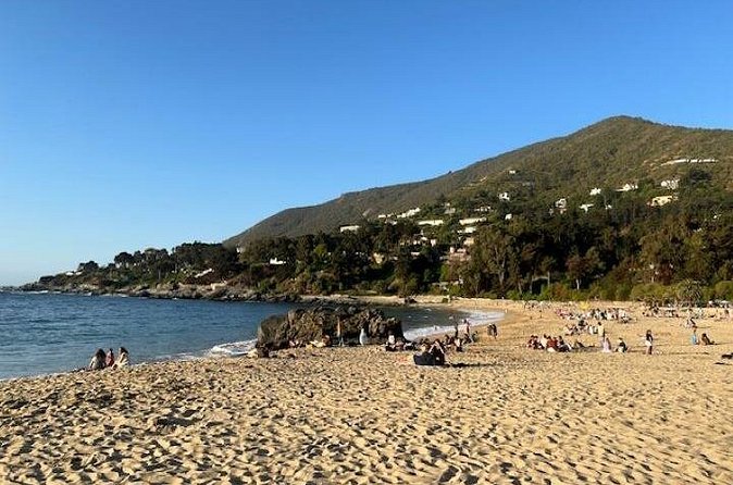 Zapallar Private Beach Day Trip - Payment reality check: cards, taxis, and using Chilean pesos