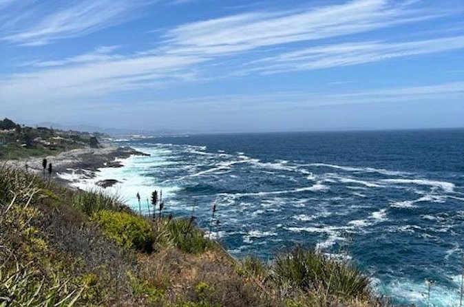 Zapallar Private Beach Day Trip - Weather matters more than you think