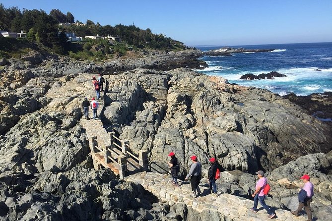 Zapallar Walking & Bird Watching Penguins From Valpo.Private Tour - Getting Going at 8:30 am, and Why Private Matters Here