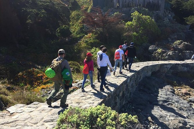 Zapallar Walking & Bird Watching Penguins From Valpo.Private Tour - Wildlife You Can Hope to Spot (And How to Keep Expectations Real)